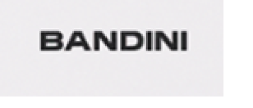 باندینی